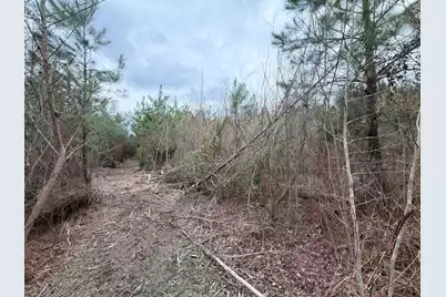 Bff II 4 J C Barefoot Road, Patrick, SC 29584 - Photo 15