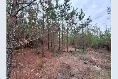 Bff II 4 J C Barefoot Road, Patrick, SC 29584 - Photo 19