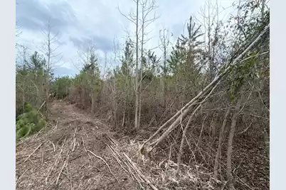 Bff II 4 J C Barefoot Road, Patrick, SC 29584 - Photo 13