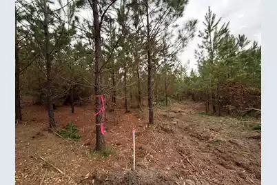 Bff II 4 J C Barefoot Road, Patrick, SC 29584 - Photo 21