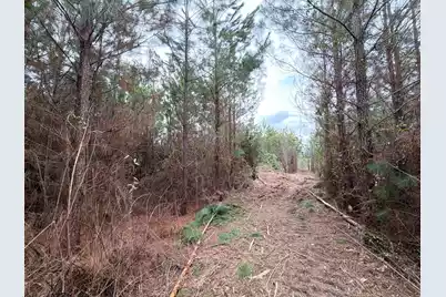 Bff II 4 J C Barefoot Road, Patrick, SC 29584 - Photo 11