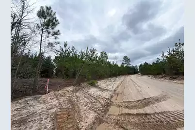 Bff II 4 J C Barefoot Road, Patrick, SC 29584 - Photo 9