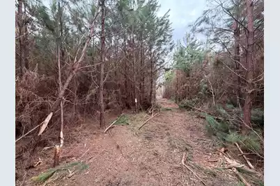 Bff II 4 J C Barefoot Road, Patrick, SC 29584 - Photo 17