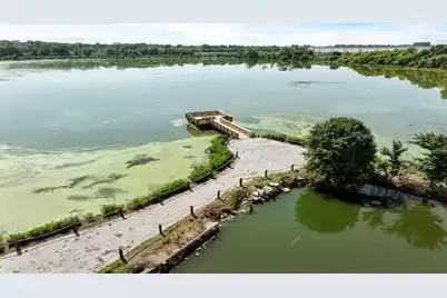 438 Tulip Poplar Drive, Moncks Corner, SC 29461 - Photo 27