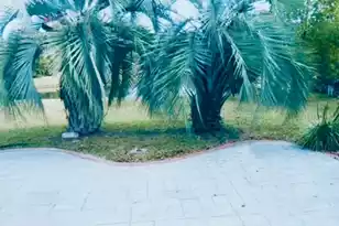 386 Jardinere Walk, Mount Pleasant, SC 29464 - Photo 17