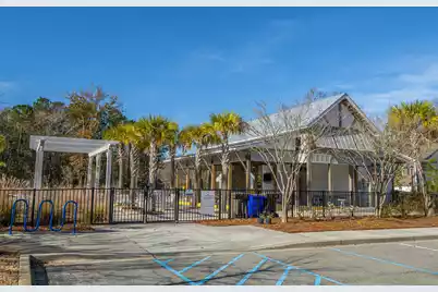 3825 Tupelo Branch Row, Mount Pleasant, SC 29429 - Photo 57