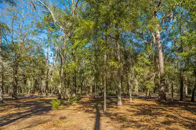 8990 Palmetto Road, Edisto Island, SC 29438 - Photo 7