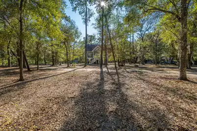 8990 Palmetto Road, Edisto Island, SC 29438 - Photo 5
