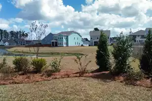 384 Wappoo Trce Ln, Summerville, SC 29486 - Photo 53