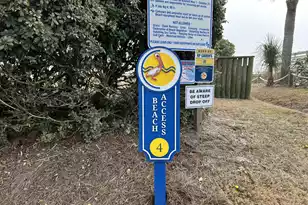 308 Jungle Shores Dr, Edisto Beach, SC 29438 - Photo 71