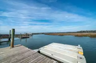 308 Jungle Shores Dr, Edisto Beach, SC 29438 - Photo 53