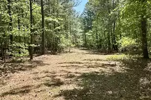 3021 Salley Rd, Salley, SC 29137 - Photo 37