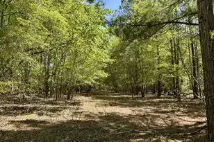 3021 Salley Rd, Salley, SC 29137 - Photo 3