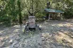 3021 Salley Rd, Salley, SC 29137 - Photo 27