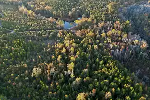 3021 Salley Rd, Salley, SC 29137 - Photo 49