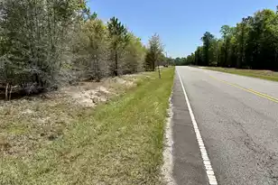 3021 Salley Rd, Salley, SC 29137 - Photo 55