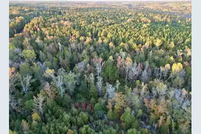 3021 Salley Road, Salley, SC 29137 - Photo 67