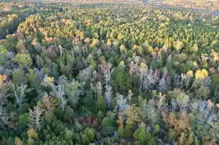 3021 Salley Rd, Salley, SC 29137 - Photo 67