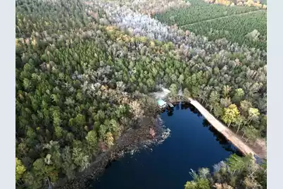 3021 Salley Road, Salley, SC 29137 - Photo 89