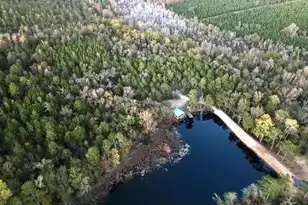 3021 Salley Rd, Salley, SC 29137 - Photo 89