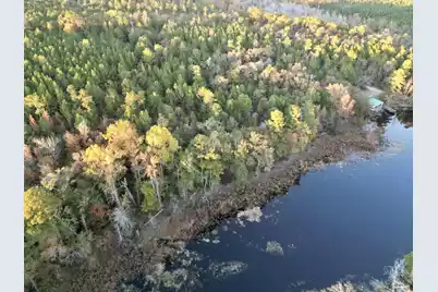 3021 Salley Road, Salley, SC 29137 - Photo 77