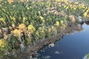 3021 Salley Rd, Salley, SC 29137 - Photo 77