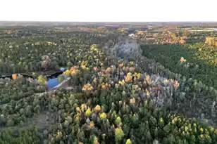 3021 Salley Rd, Salley, SC 29137 - Photo 79