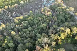 3021 Salley Rd, Salley, SC 29137 - Photo 71