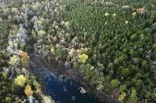 3021 Salley Rd, Salley, SC 29137 - Photo 87