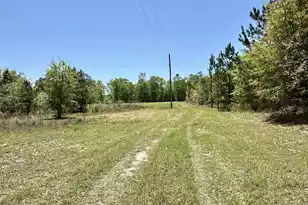 3021 Salley Rd, Salley, SC 29137 - Photo 57