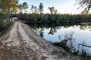 3021 Salley Rd, Salley, SC 29137 - Photo 7