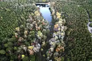 3021 Salley Rd, Salley, SC 29137 - Photo 93