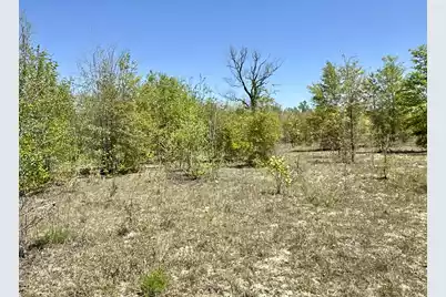 3021 Salley Road, Salley, SC 29137 - Photo 59