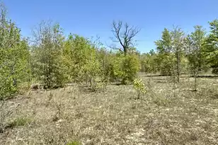 3021 Salley Rd, Salley, SC 29137 - Photo 59