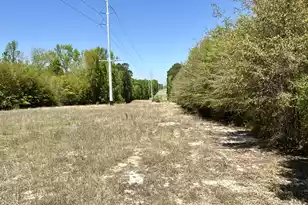 3021 Salley Rd, Salley, SC 29137 - Photo 47