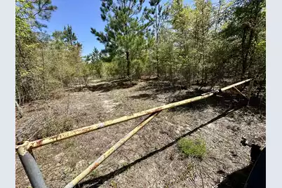 3021 Salley Road, Salley, SC 29137 - Photo 53