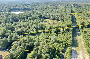 3021 Salley Rd, Salley, SC 29137 - Photo 71