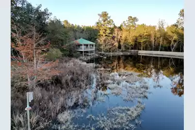 3021 Salley Road, Salley, SC 29137 - Photo 53