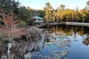 3021 Salley Rd, Salley, SC 29137 - Photo 53