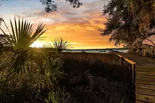 5713 Boone Haven Rd Rd, Wadmalaw Island, SC 29487 - Photo 45