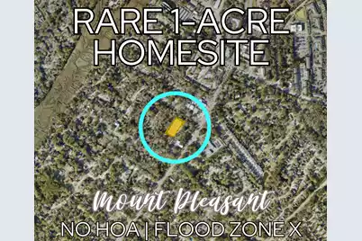 0 Chuck Dawley Boulevard, Mount Pleasant, SC 29464 - Photo 1