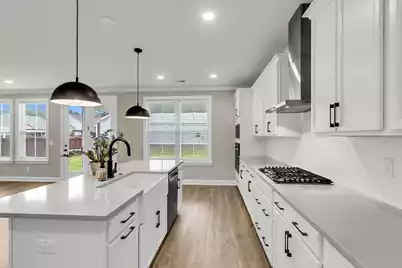 687 Black Pine Road, Moncks Corner, SC 29461 - Photo 13