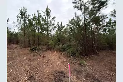 Bff II 5 Brunson Teal Rd Road, Patrick, SC 29584 - Photo 17