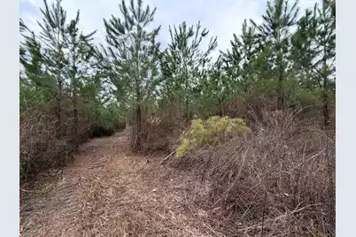 Bff II 5 Brunson Teal Rd Road, Patrick, SC 29584 - Photo 19