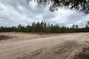 Bff II 5 Brunson Teal Rd Rd, Patrick, SC 29584 - Photo 1