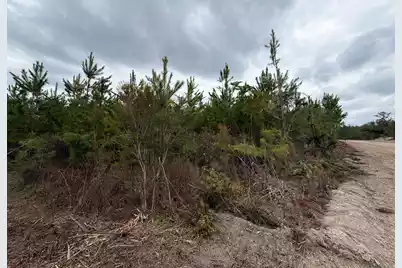 Bff II 5 Brunson Teal Rd Road, Patrick, SC 29584 - Photo 21