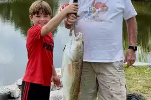 130 Berkshire Dr, Wando, SC 29492 - Photo 73