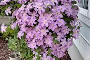 130 Berkshire Dr, Wando, SC 29492 - Photo 77