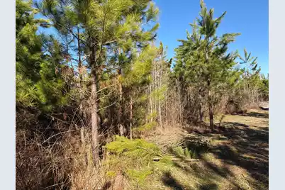 Bff II 6 Brunson Teal Rd Road, Patrick, SC 29584 - Photo 13