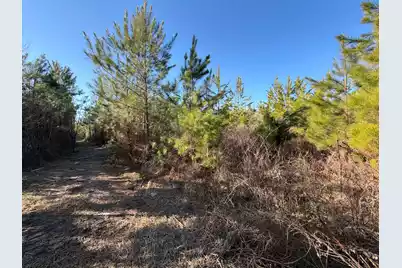 Bff II 6 Brunson Teal Rd Road, Patrick, SC 29584 - Photo 11